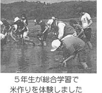 5年生が総合学習で米作りを体験しました