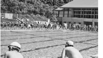 新しい学校の可能性を求めて